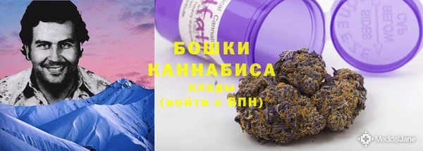 хмурый Гусев