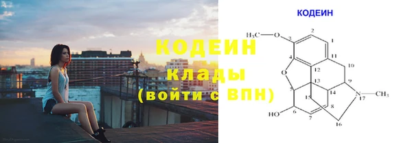 хмурый Гусев