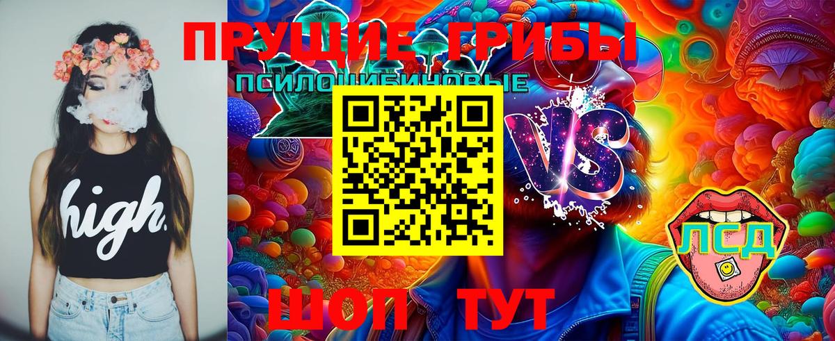Псилоцибиновые грибы Cubensis Протвино