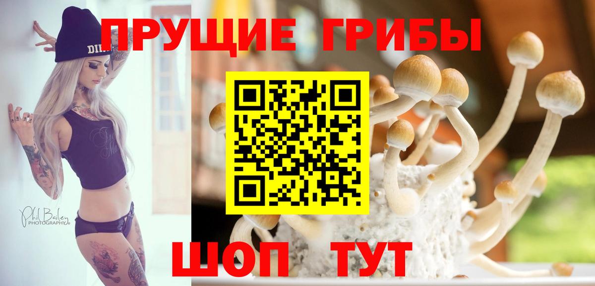 Протвино  Псилоцибиновые грибы мицелий  Псилоцибиновые грибы MAGIC MUSHROOMS  Вход с VPN 